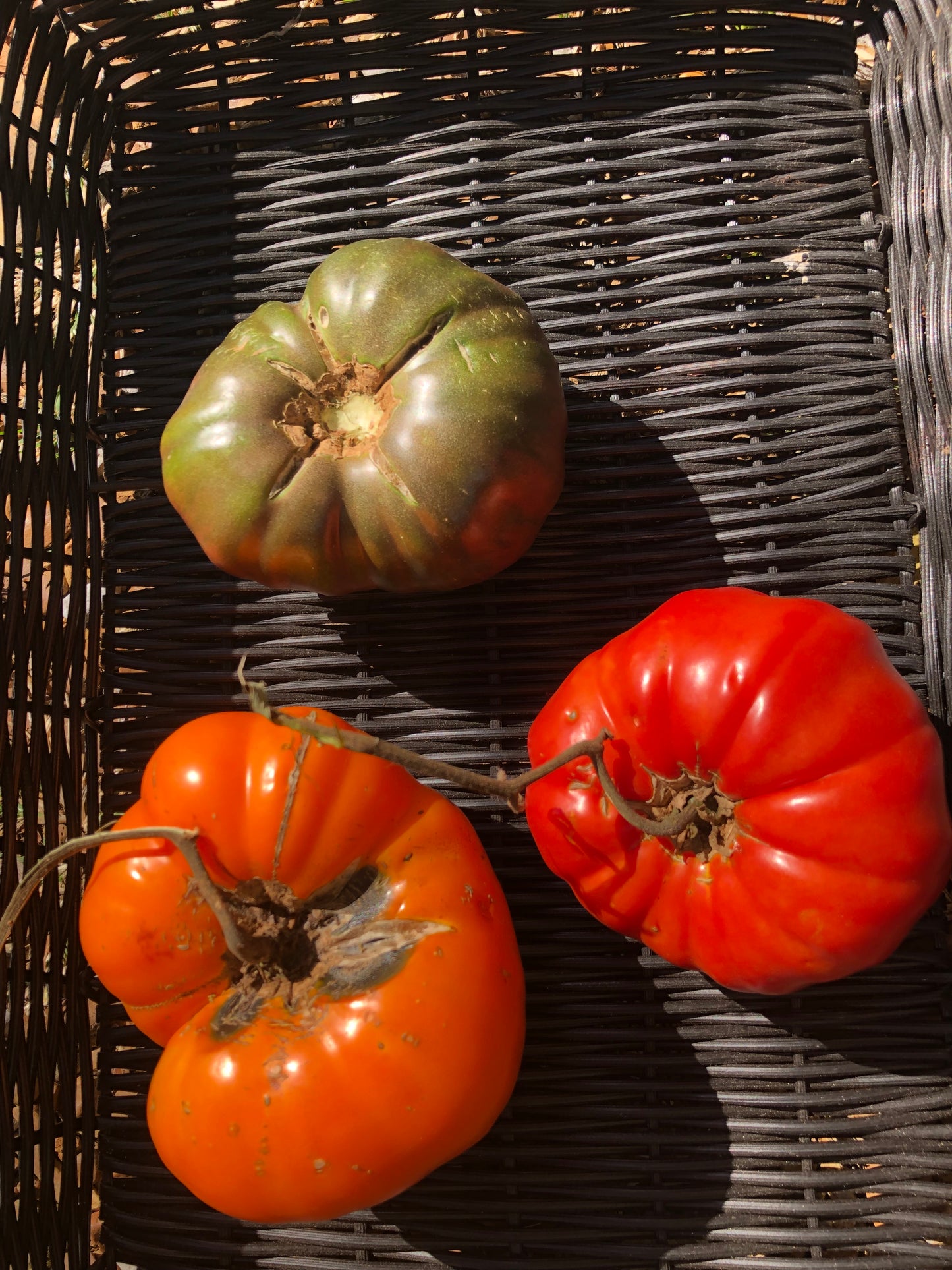 Beefsteak