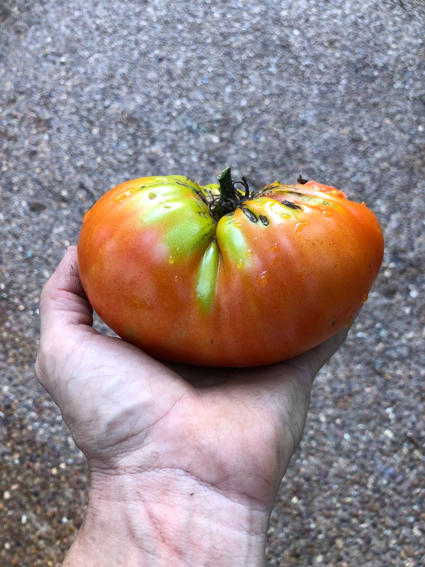 Beefsteak