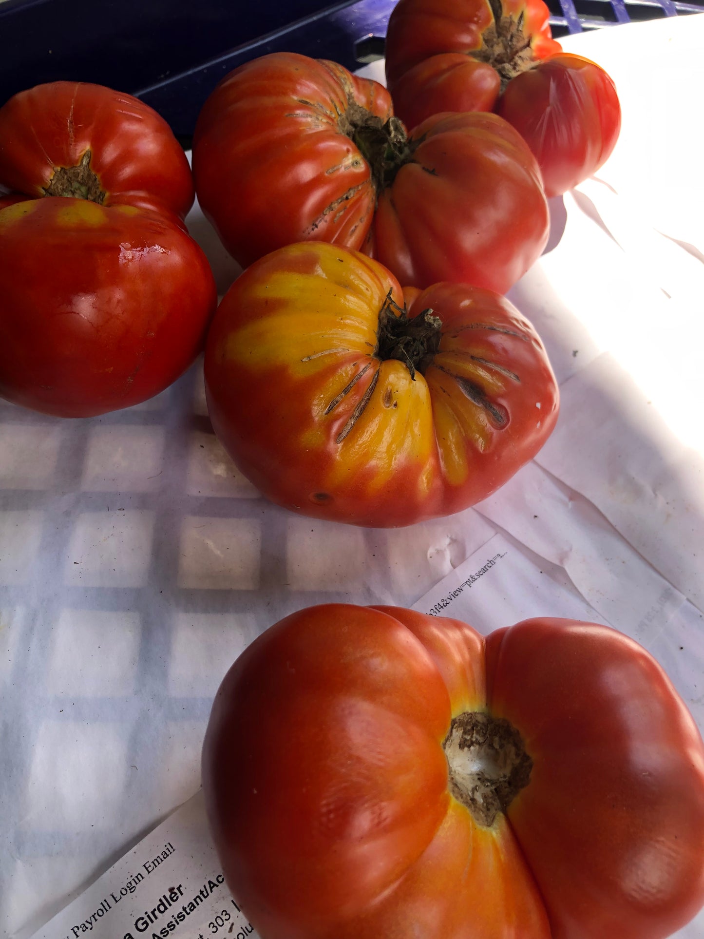 Beefsteak