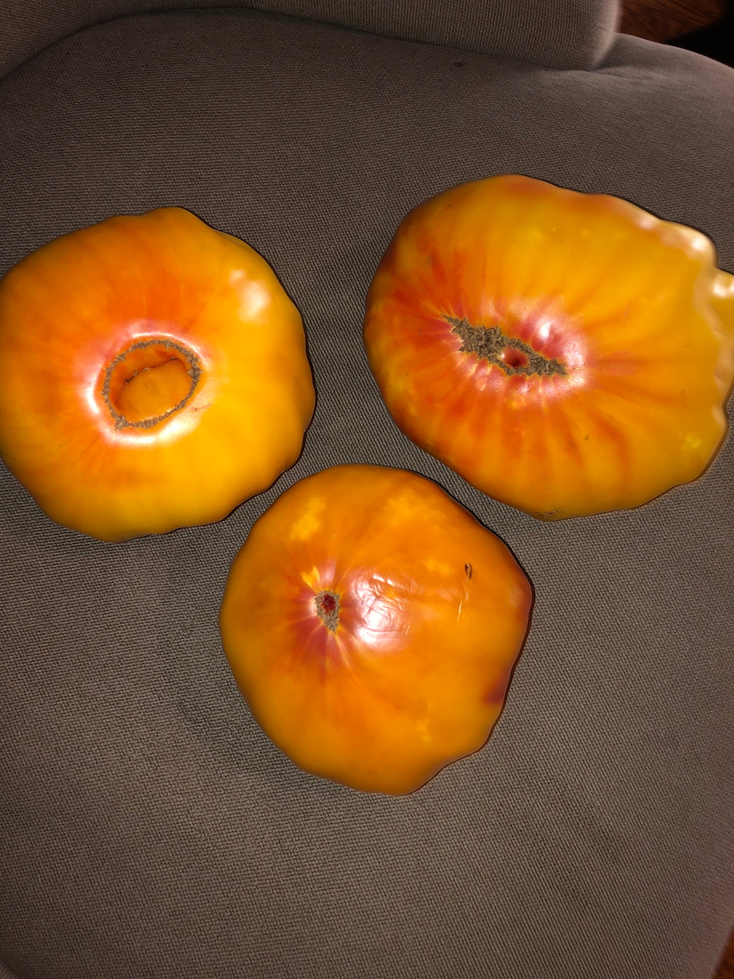 Mr. Stripey 50 seeds