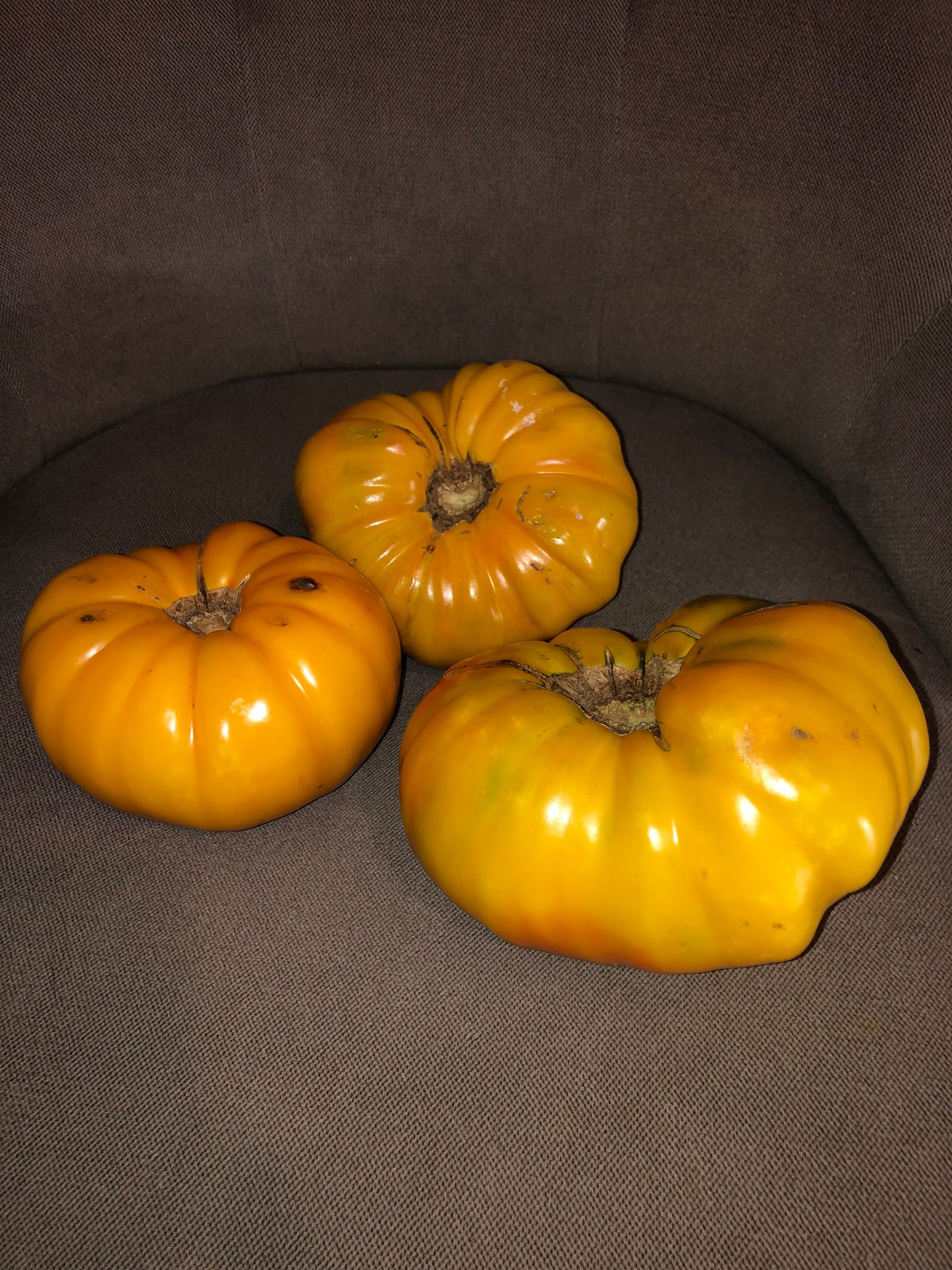 Mr. Stripey 50 seeds